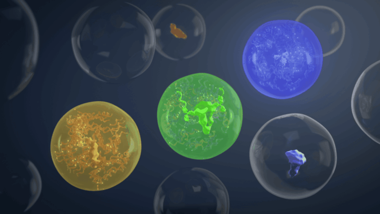 Actome Startup sXh Website