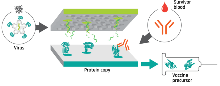 BioCopy Startup sXh Website