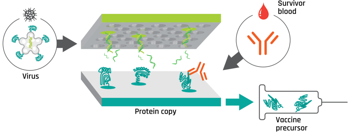 BioCopy Startup sXh Website