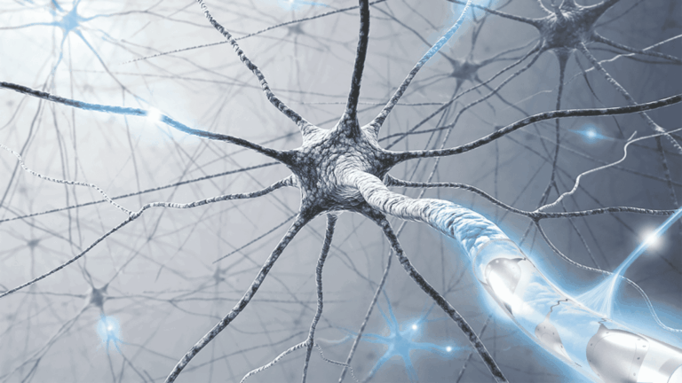 CorTec Startup sXh Website